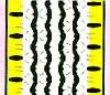 Rib shape