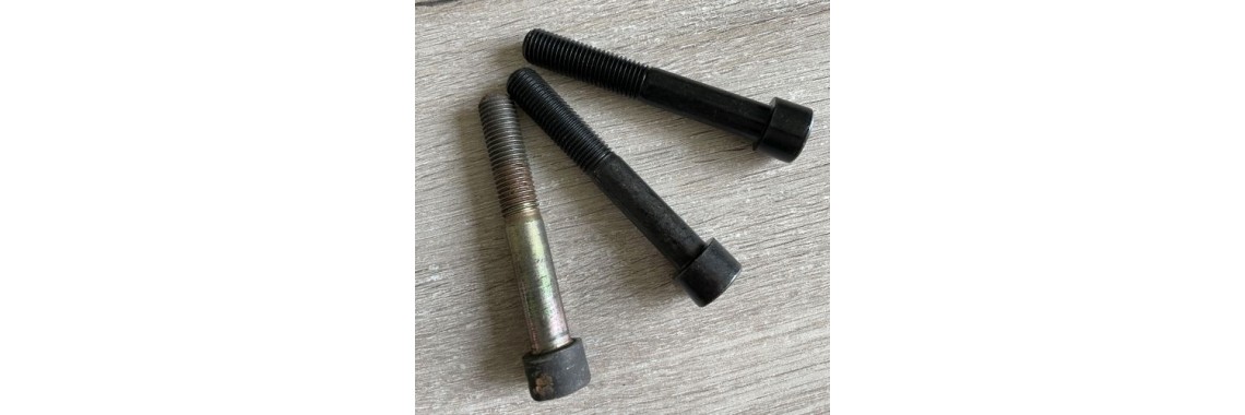 Caliper bolts